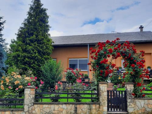 Cvetkovic Apartment | Apartment Arcadia