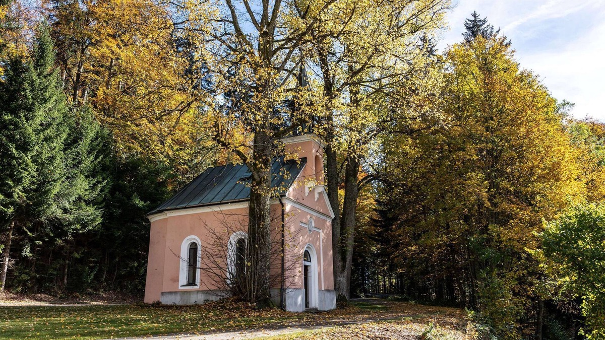 Klaffer am Hochficht Apartment | Apartment 5 Reischlberg - Forsthaus Apartments - In the middle of the ski area