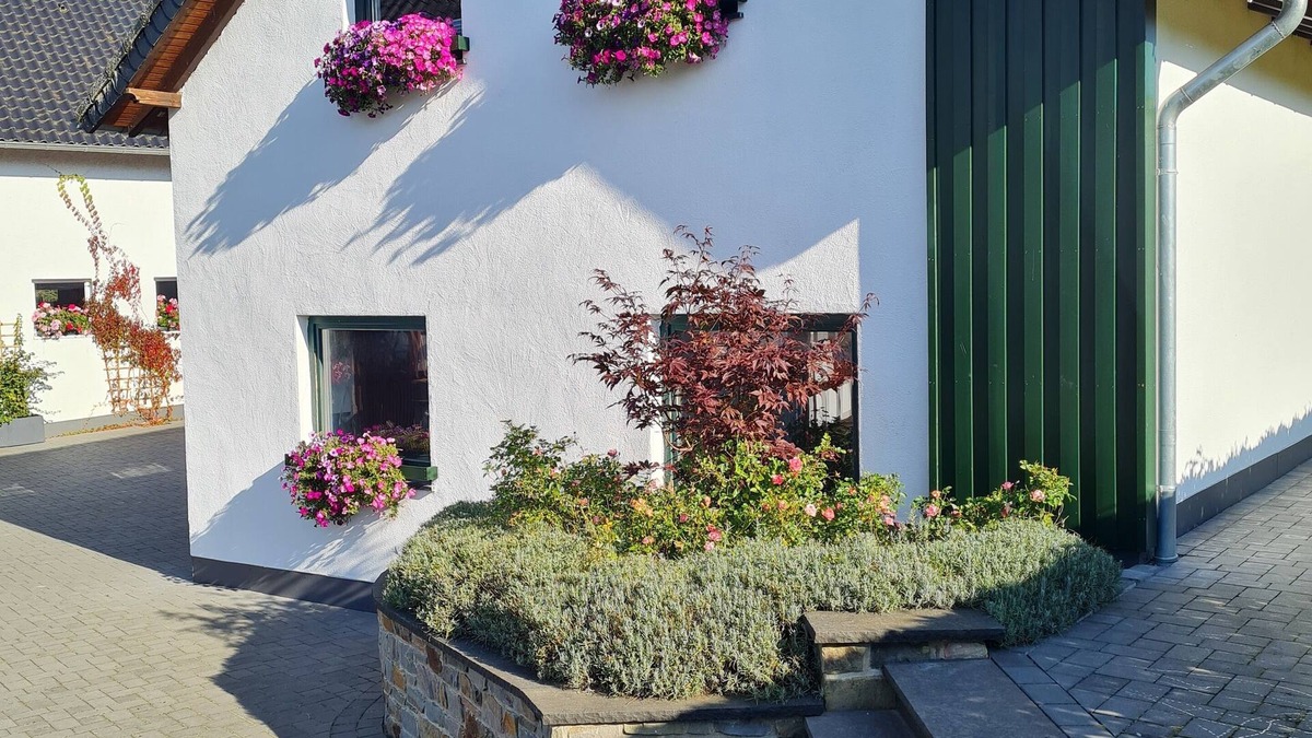 Rollesbroich Apartment | Apartment Braun - cozy apartment with balcony in a quiet side street