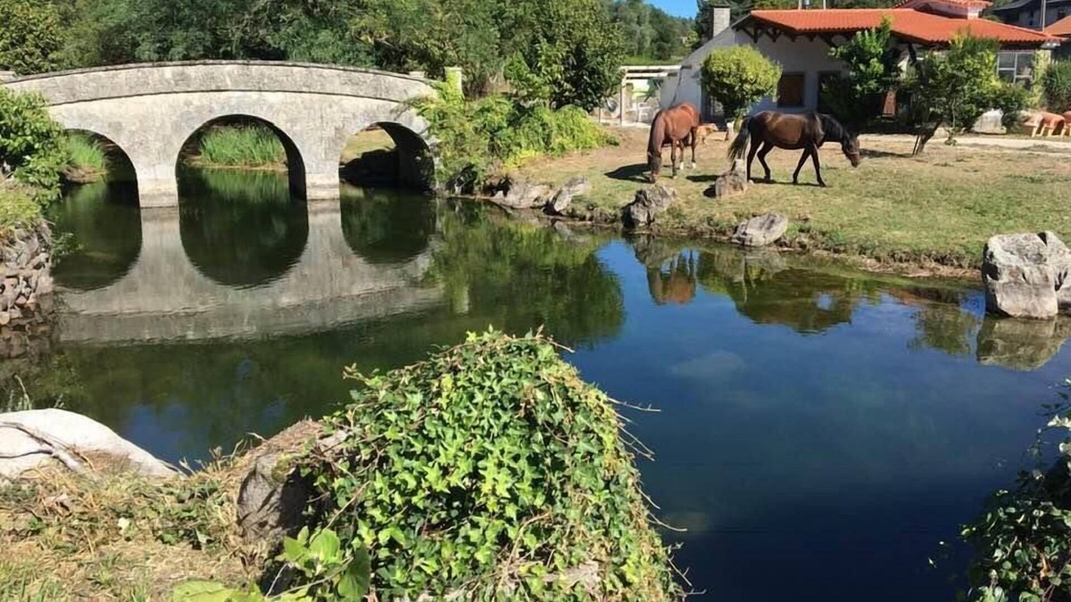 A Caniza Apartment | Apartment Briabí - 1 (142), large Finca with a natural pool