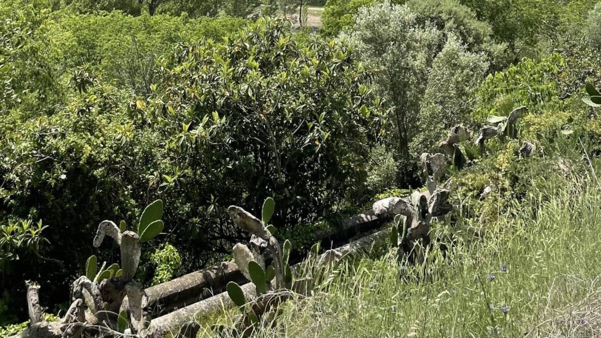 Cirat Apartment | Apartment Cirat Rental Holidays REF. 050