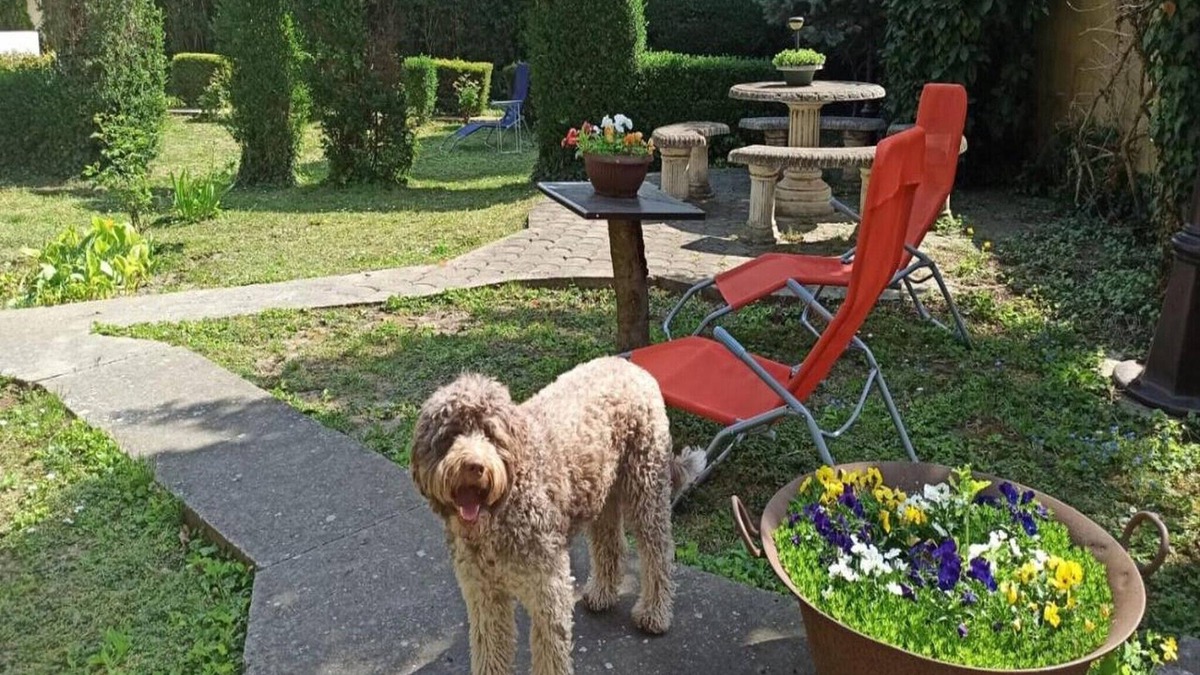 Osijek Apartment | Apartment Cocic Garden