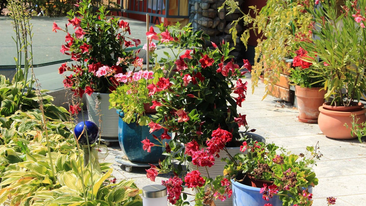 Forstau Apartment | Apartment Dahoam