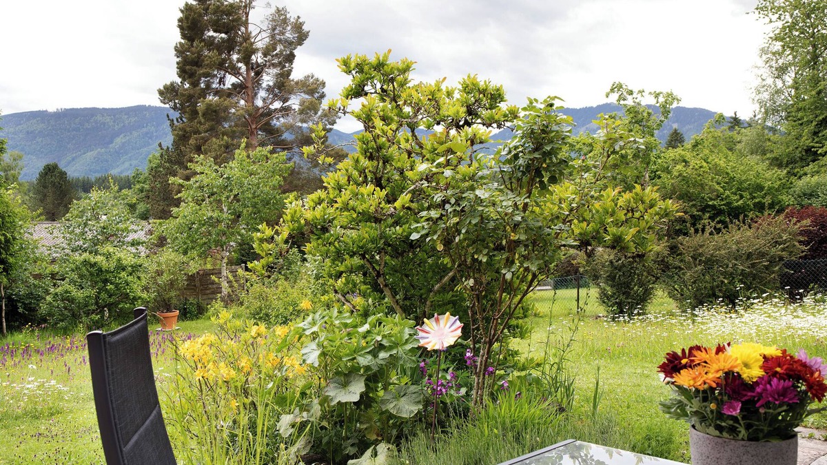 Westried Apartment | Apartment 'Ferienwohnung Am Moos In Moosrain' with Mountain View, Private Terrace and Wi-Fi