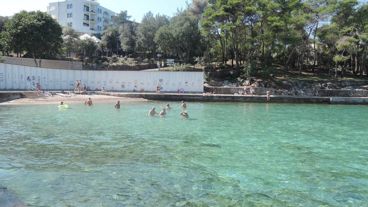 Milcetici Apartment | Apartment Dubravka