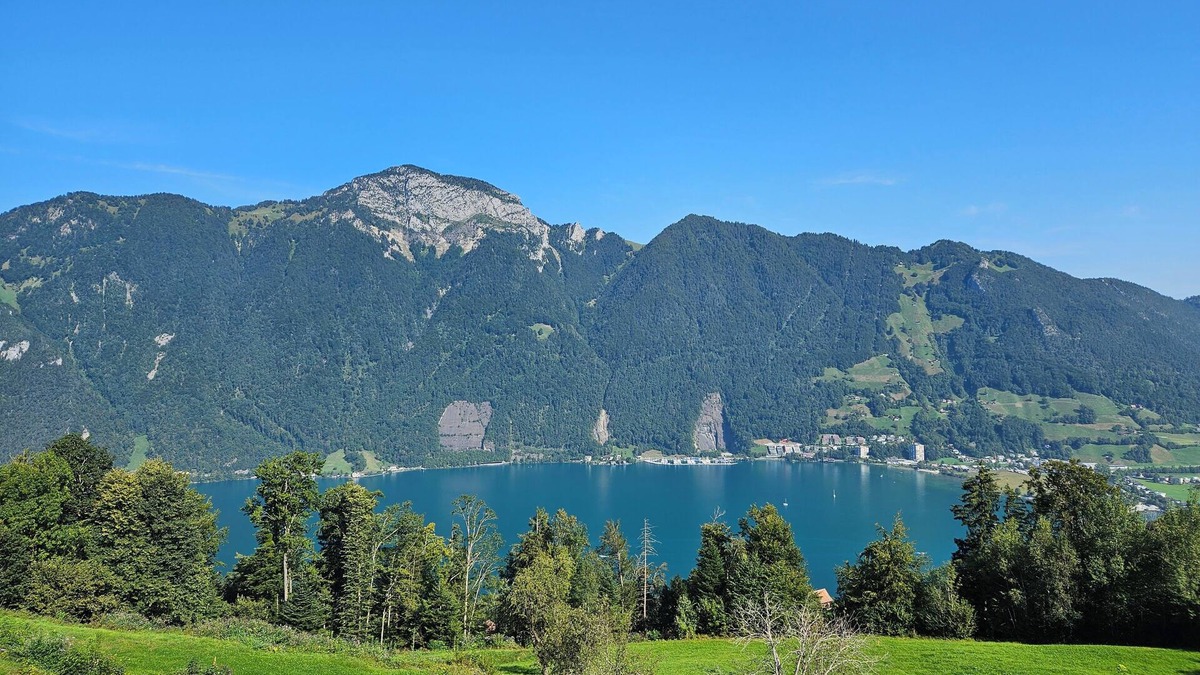 Ruetli Apartment | Apartment Edelweiss – stunning lake & mountain view, peaceful, sunny, terrasse