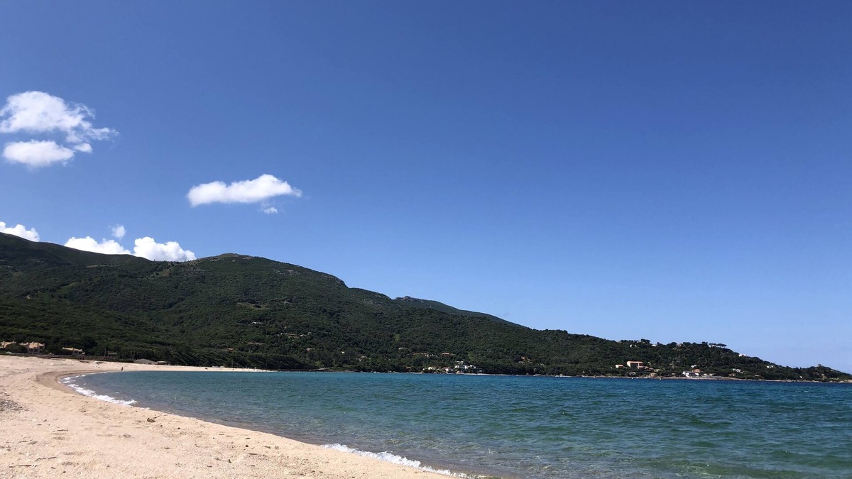 Tiuccia Apartment | Apartment F3 air-conditioned 3mn walk from the beach large garden property digicode