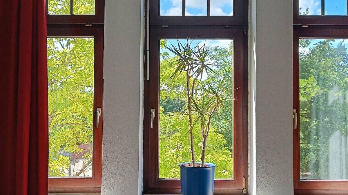 Doese Apartment | Apartment 'Ferienwohnung Nr 2' with Shared Garden and Wi-Fi