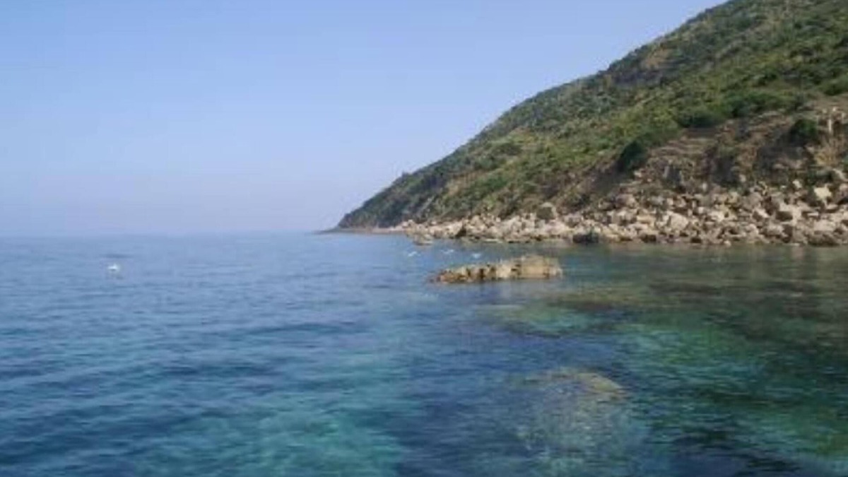 Agropoli Apartment | Apartment/flat - Agropoli