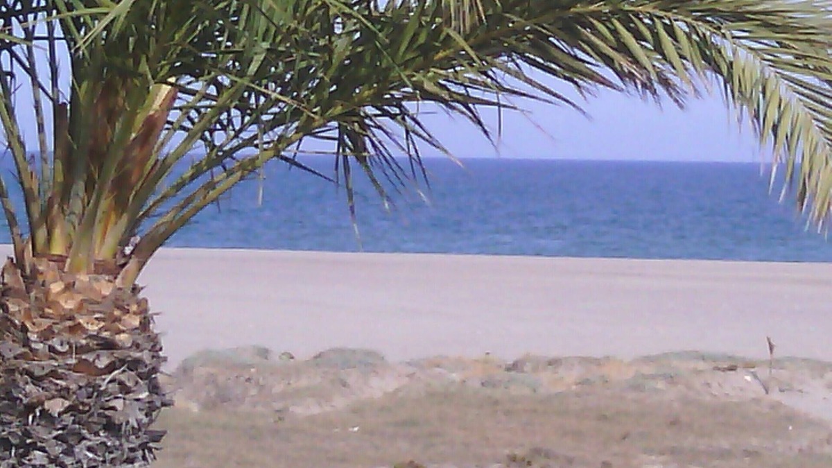 Puerto Rey Apartment | Apartment/flat - Vera