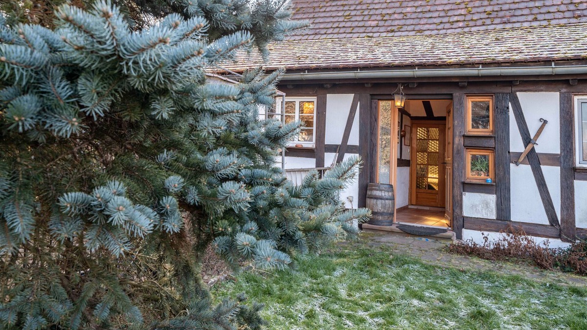 Betschdorf Apartment | Apartment 'Fleurie' with Shared Terrace, Shared Garden and Wi-Fi