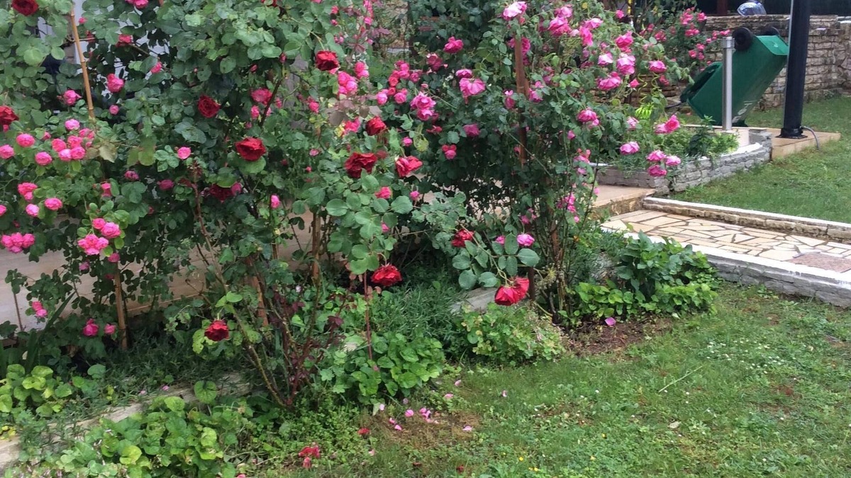 Stinjan Apartment | Apartment for 2 people and 2 children