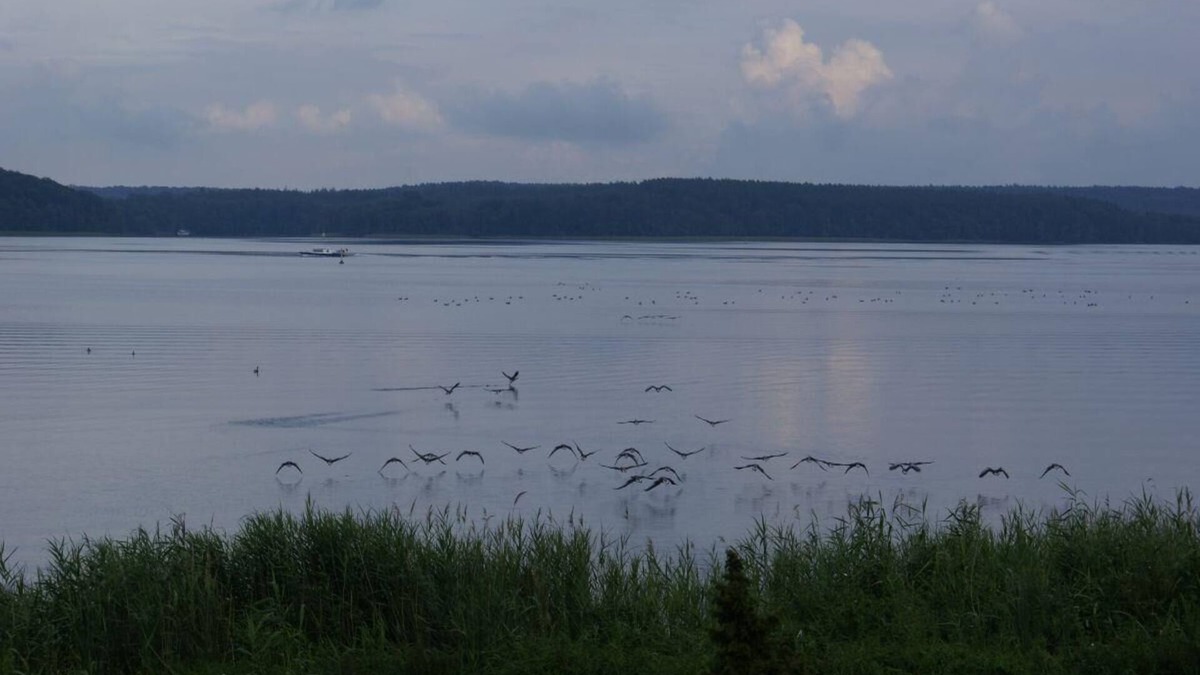 Plau am See House | Apartment for 2 persons approx. 88 qm in Plau am See, Mecklenburg-Western Pomerania (Mecklenburg Lake District)