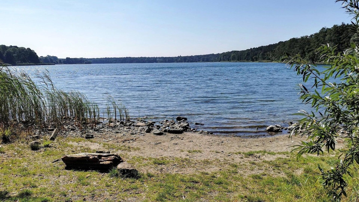 Friedrich-Schiller-Hohe Apartment | Apartment for 3 pax in Strausberg