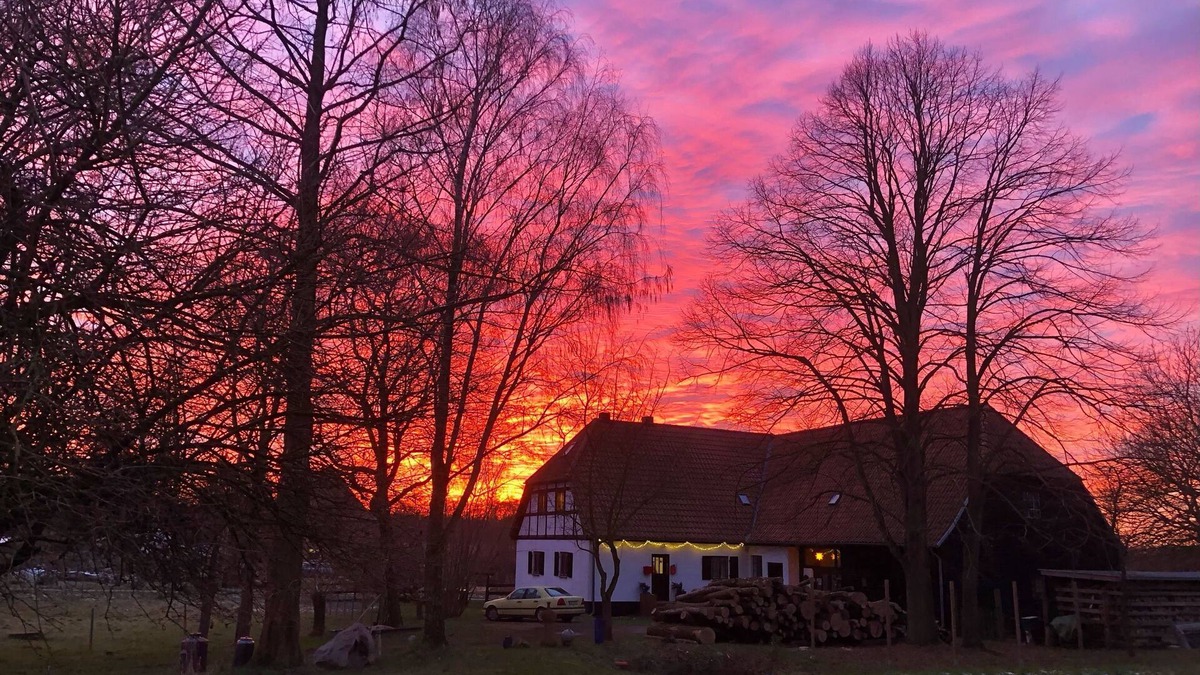 Lalendorf Apartment | Apartment - For Güstrow: Apartment Bergfeld