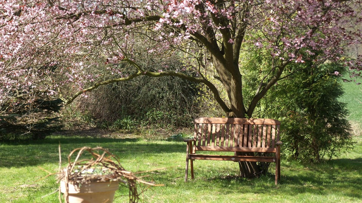 Putbus Apartment | Apartment for max. 5 people in nature and yet central garden and pool