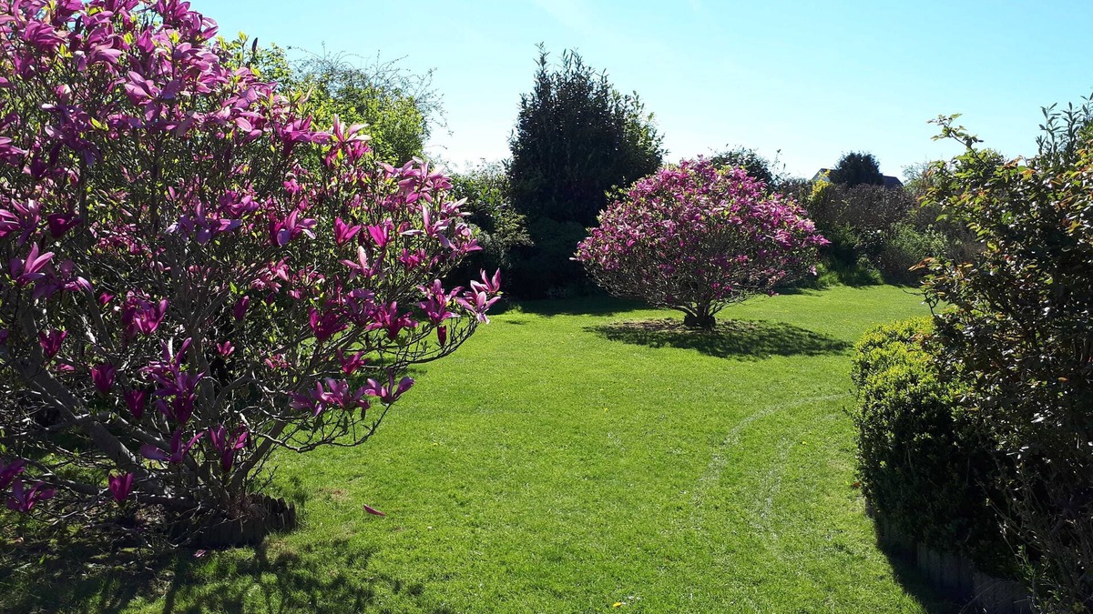 Kappeln Apartment | Apartment Fuge Kappeln