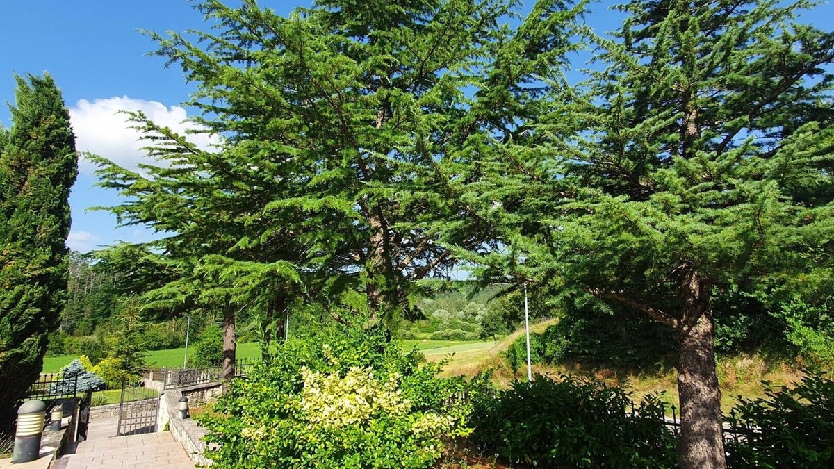 Novaki Pazinski Apartment | Apartment Garden Goga