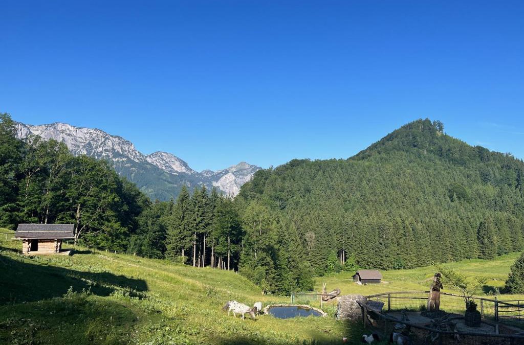 Traunkirchen Apartment | Apartment Hochsteinalm