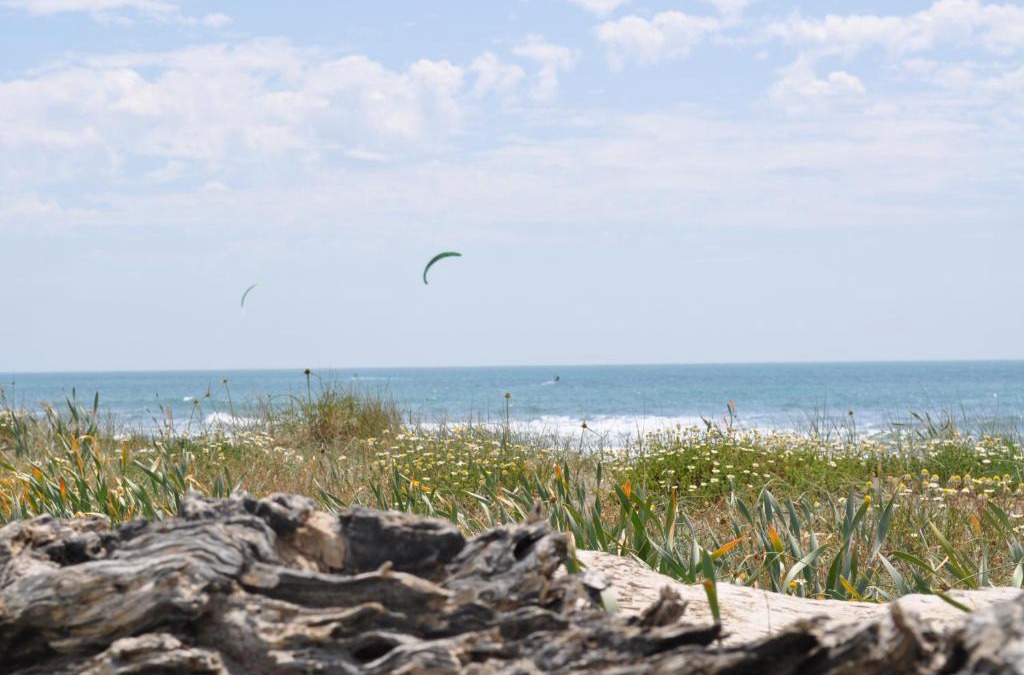 Pescia Romana Apartment | Apartment I Fontanili