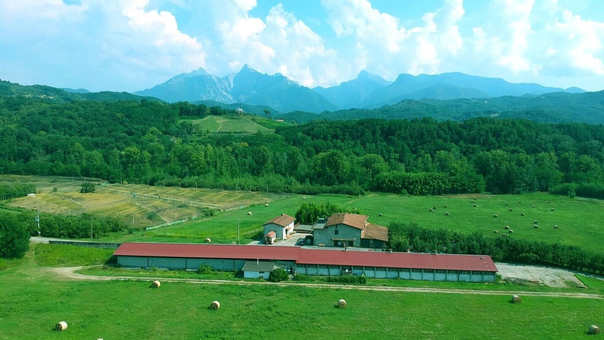 Gassano Other | Apartment "Il Fienile" at Agriturismo La Preduscella