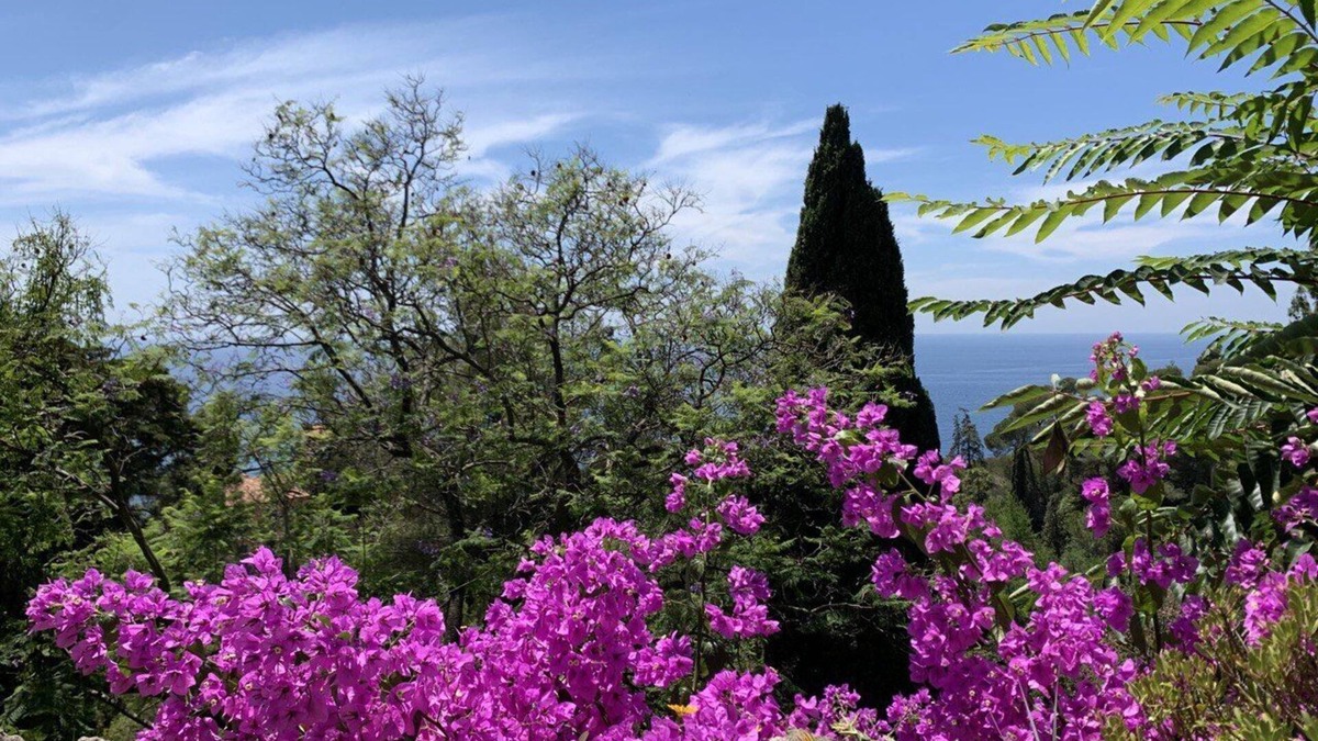 Vallebona Apartment | apartment in 70´s building in the Olive Jungle 3km off the mediterranean