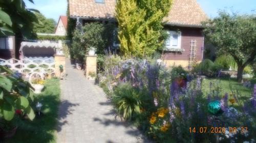 Dankerode Apartment | Apartment in Dankerode - Harz 40750