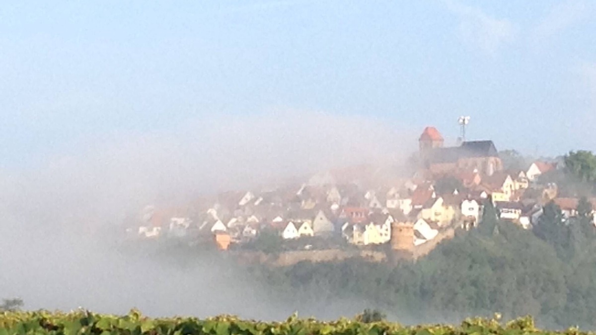 Neuleiningen Apartment | Apartment in fantastic location with view to the wineyards and the forrest