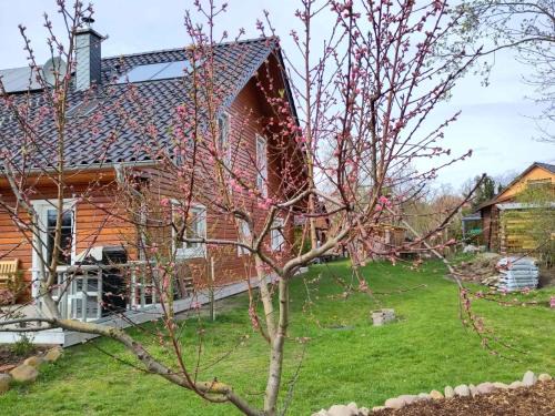 Muncheberg Apartment | Apartment in Müncheberg 53547