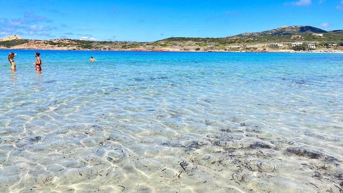 Viddalba Apartment | Apartment in Residential Complex with swimming pool 7 minutes from the sea