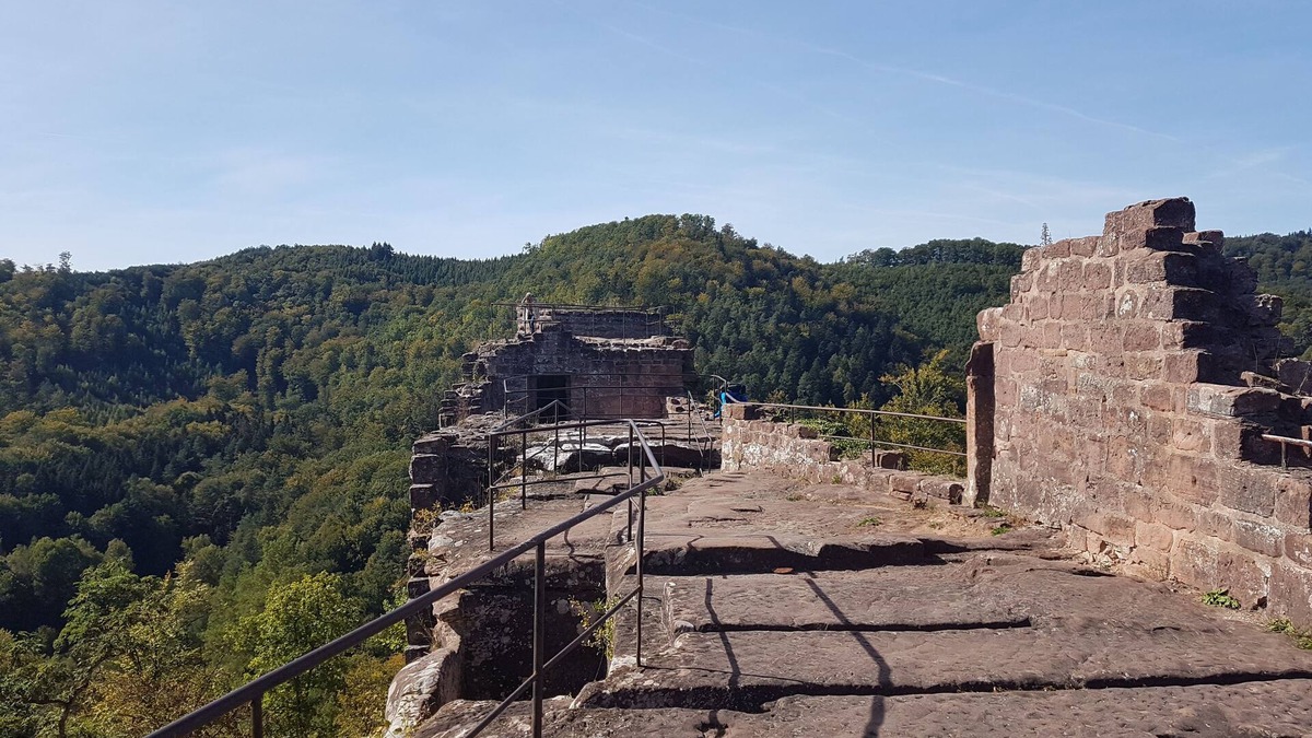 Schontal Apartment | Apartment in the idyllic setting of the biosphere reserve Palatinate Forest