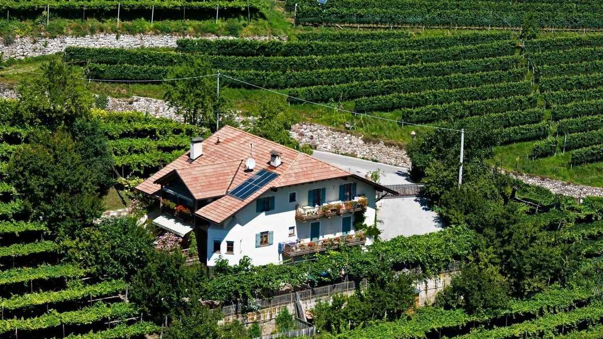 Kurtatsch an der Weinstraße Apartment | Apartment in top location