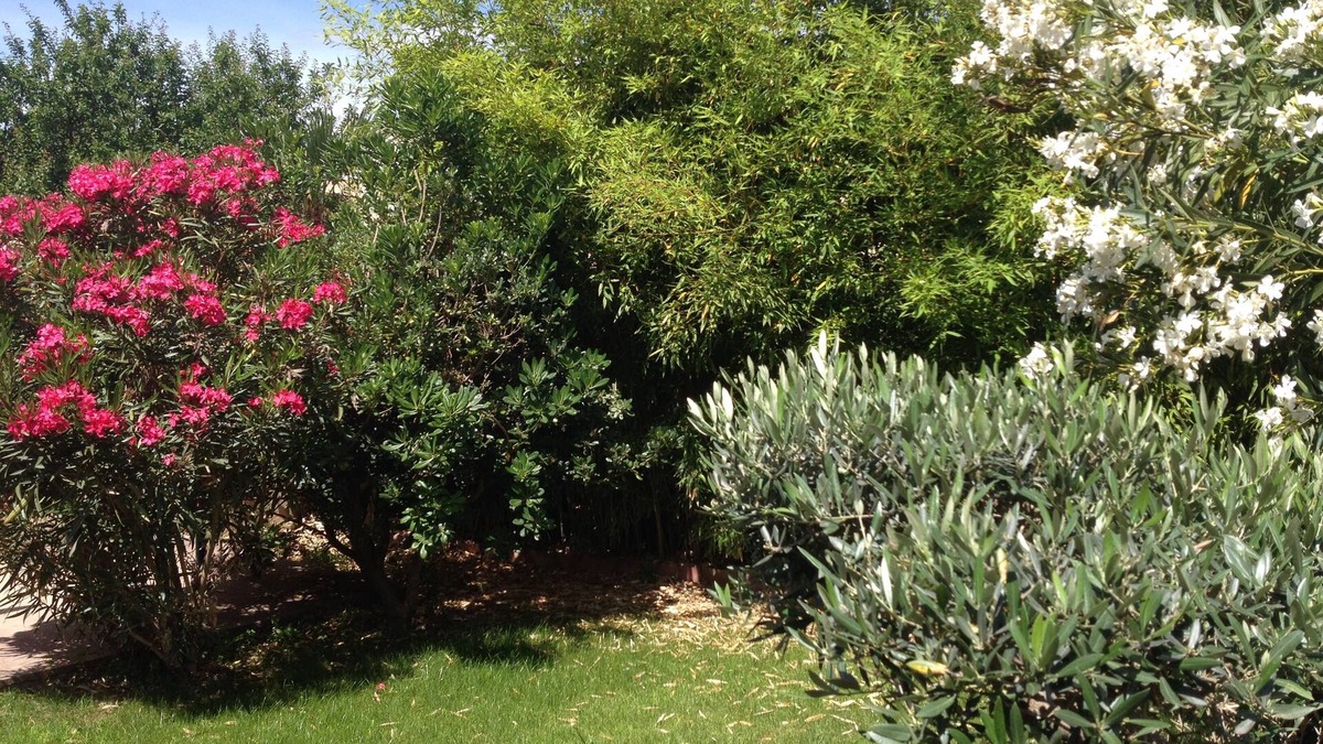Fabregues Apartment | Apartment in very quiet villa in the heart of the village
