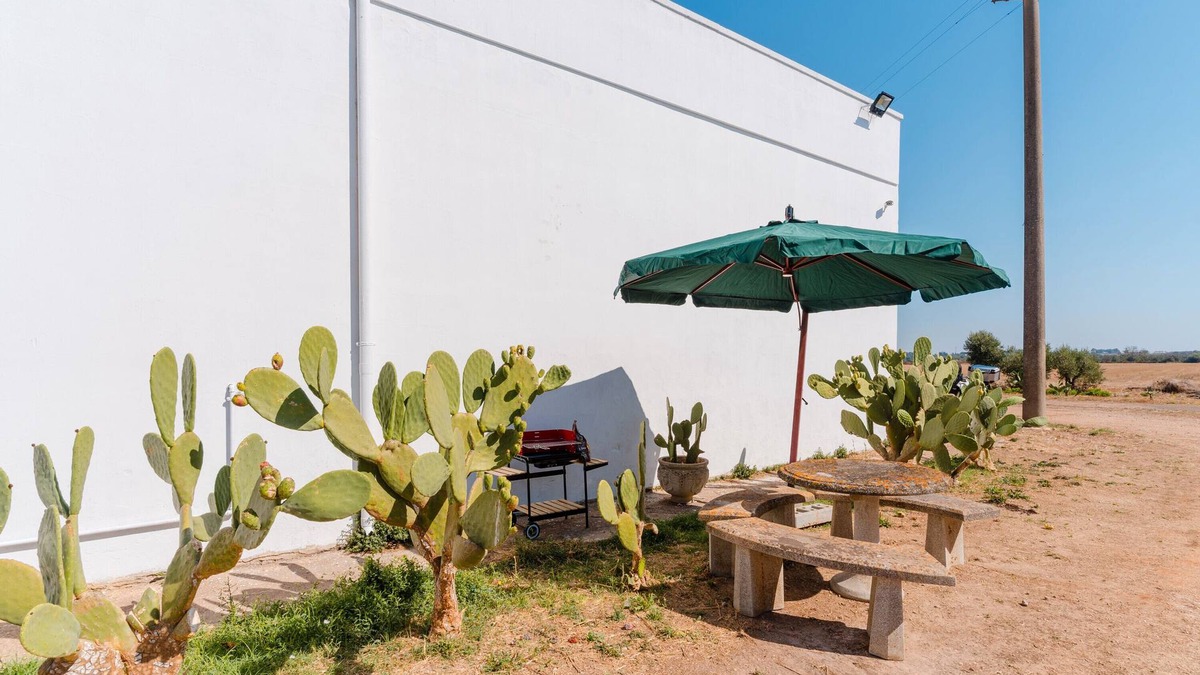 Scorrano Apartment | Apartment 'Kestella' with Shared Terrace, Shared Garden and Air Conditioning