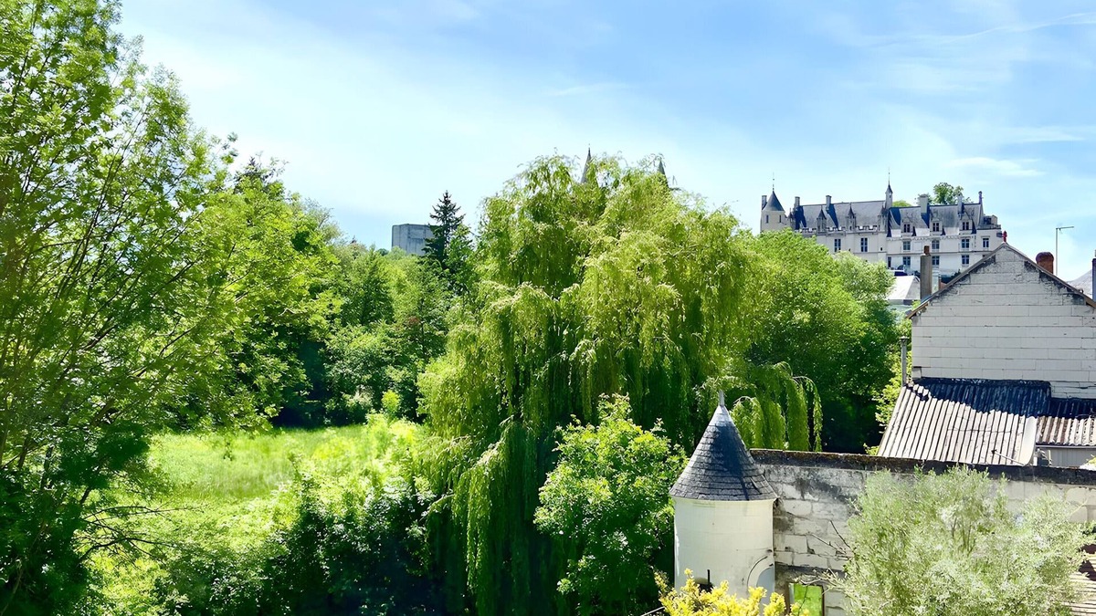 Loches Apartment | Apartment 'La Tourelle Des Cordeliers' with Private Terrace, Shared Garden and Wi-Fi