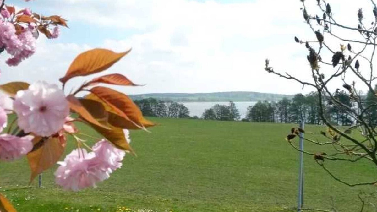 Mecklenburgische Kleinseenplatte Apartment | Apartment Mäckelborg on beautiful Woblitzsee - Apartment Mäckelborg