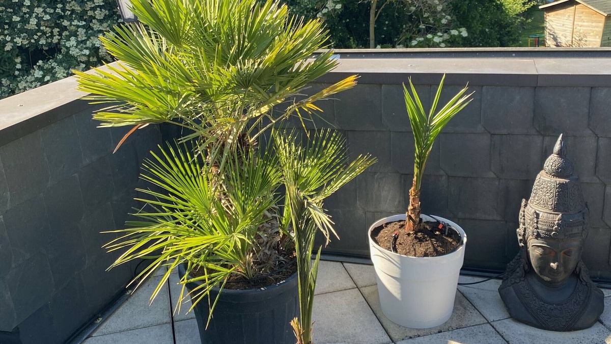 Region Hannover District Apartment | Apartment "Maison Beaumont" with Private Terrace & Wi-Fi