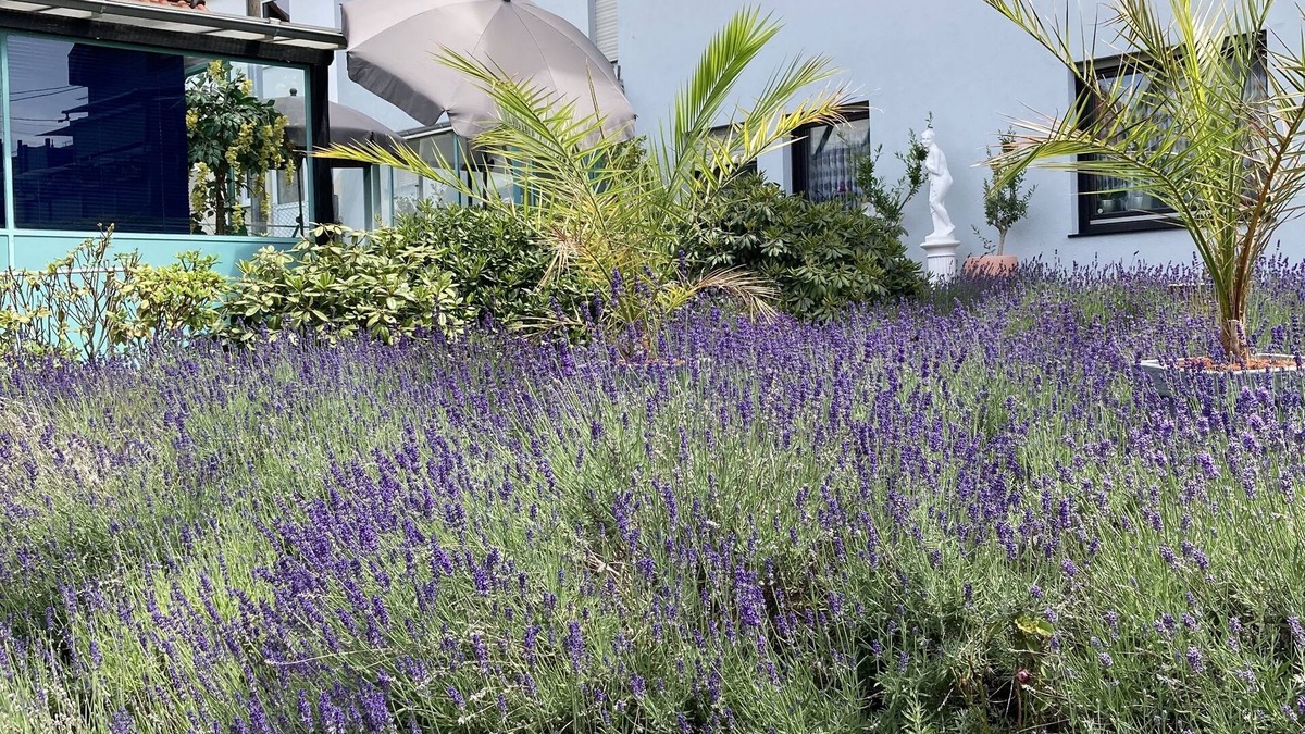 Glashuetten Apartment | Apartment mit Duschbad, Wintergarten und Terrasse im Schönen Taunus, Ruhige Lage