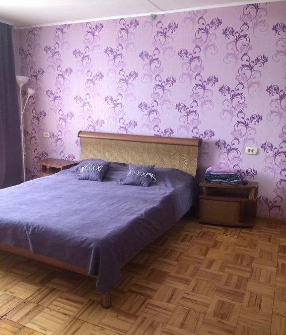 Ustinovskiy Apartment | Apartment near circus on Pushkinskaya