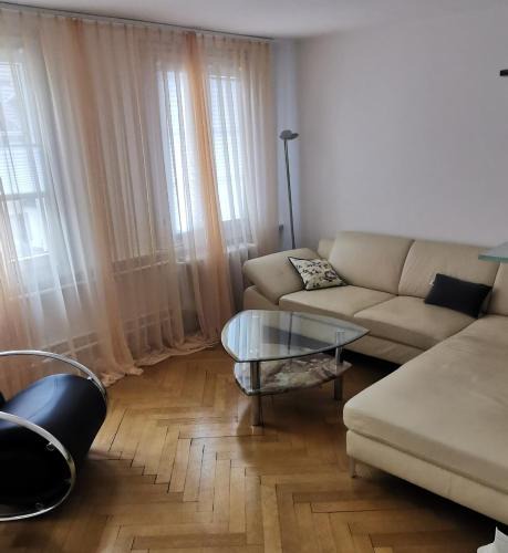 Meilen District Apartment | Apartment on 2 floors