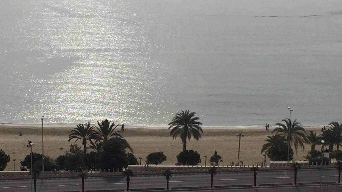 L'Albufereta Apartment | Apartment on the beach front line
