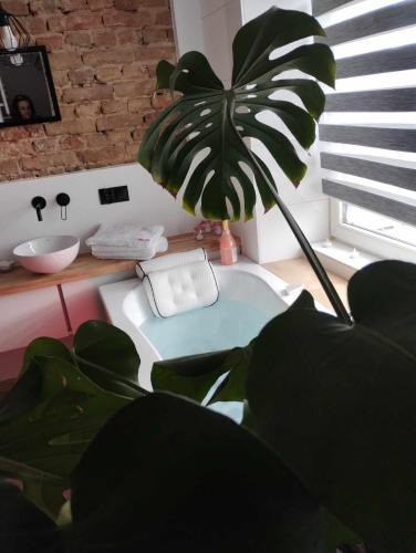 Jedrzejow Apartment | Apartment romantyczny SAKURA