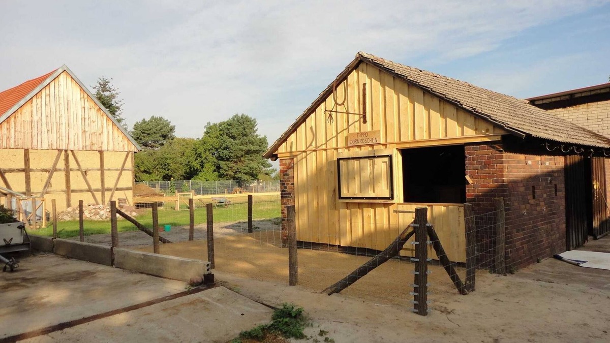 Neupetershain Nord Apartment | Apartment "Schwalbennest" - Ferienhof Welz