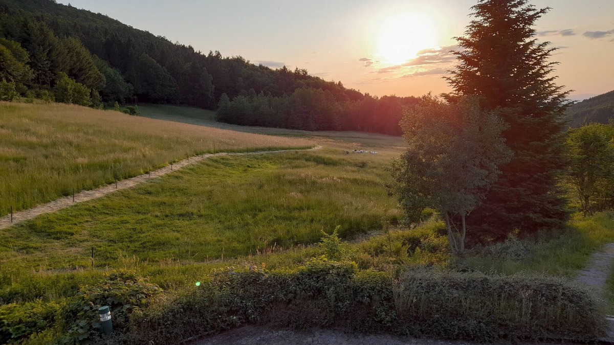 Sasbachwalden Apartment | Apartment 'Schwarzwald Pur' with Mountain View, Shared Terrace and Wi-Fi