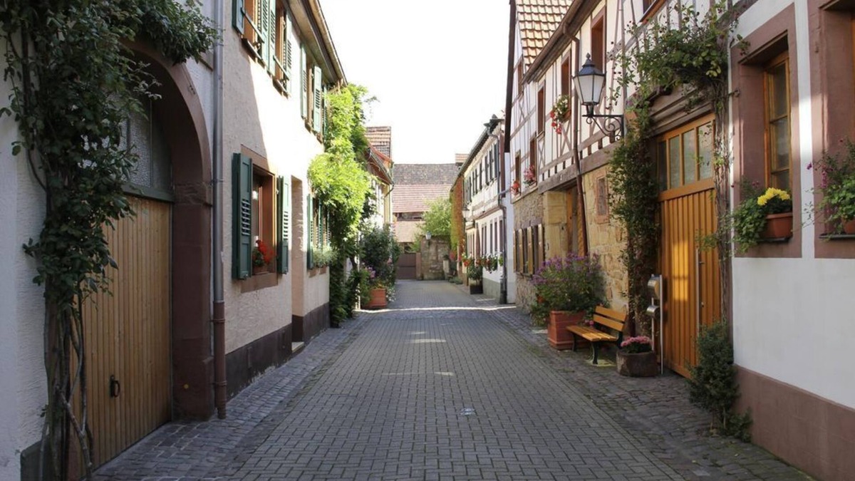 Bad Bergzabern Apartment | Apartment Sparrow - 3-bed apartment 45m²