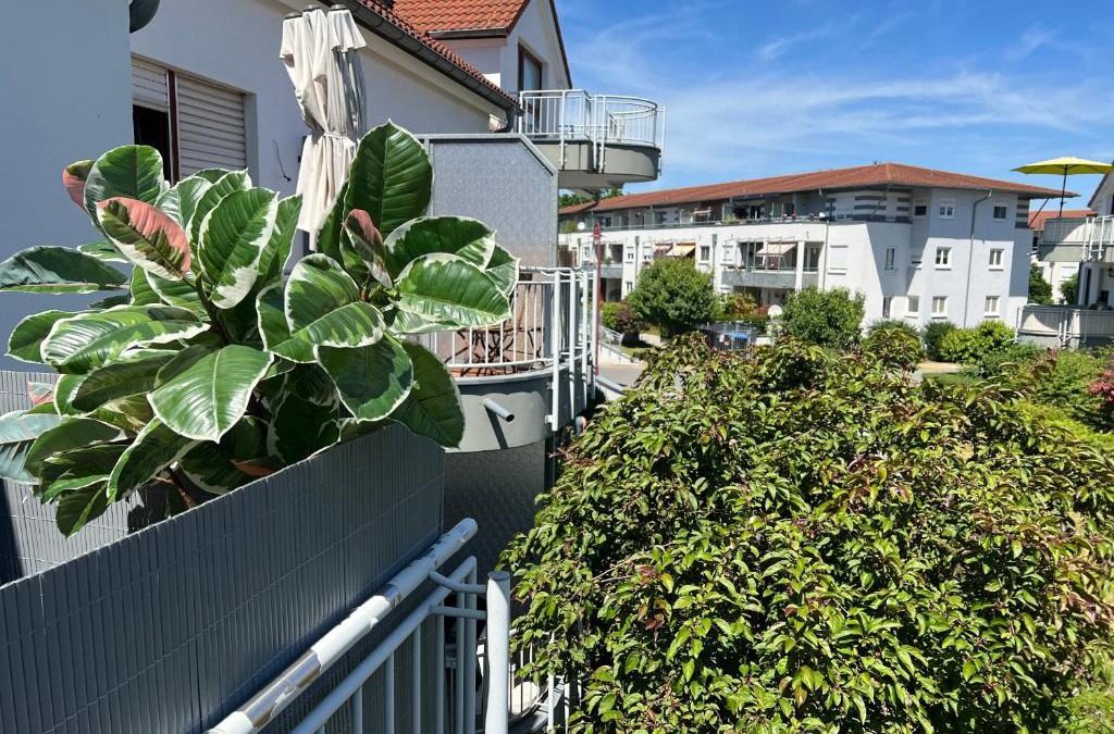 Bannewitz Apartment | Apartment Studio Green line