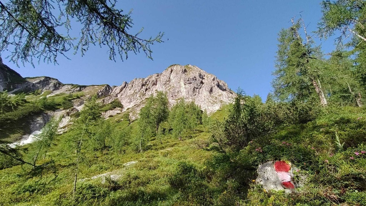 Zauchensee Apartment | Apartment suite 2-6 persons