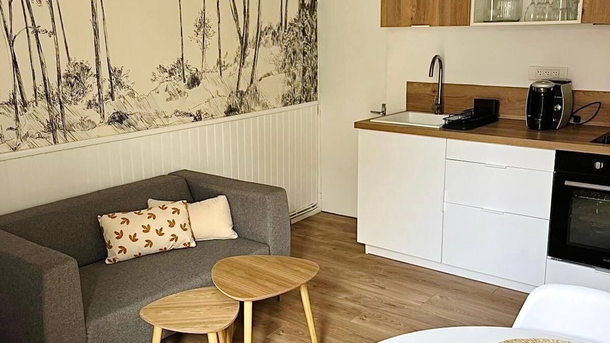 La Fayette-Eble Apartment | Apartment triple gare Angers