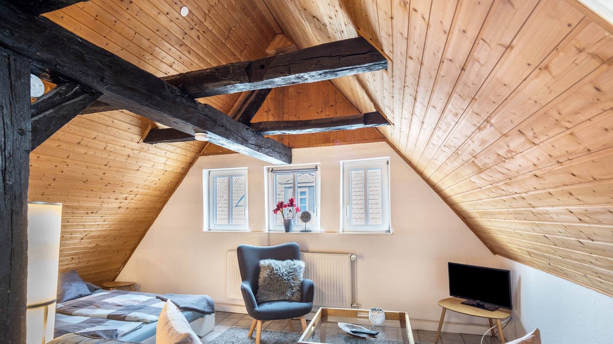 Alsfeld Apartment | Apartment 'Über Den Dächern Alsfels' with Wi-Fi