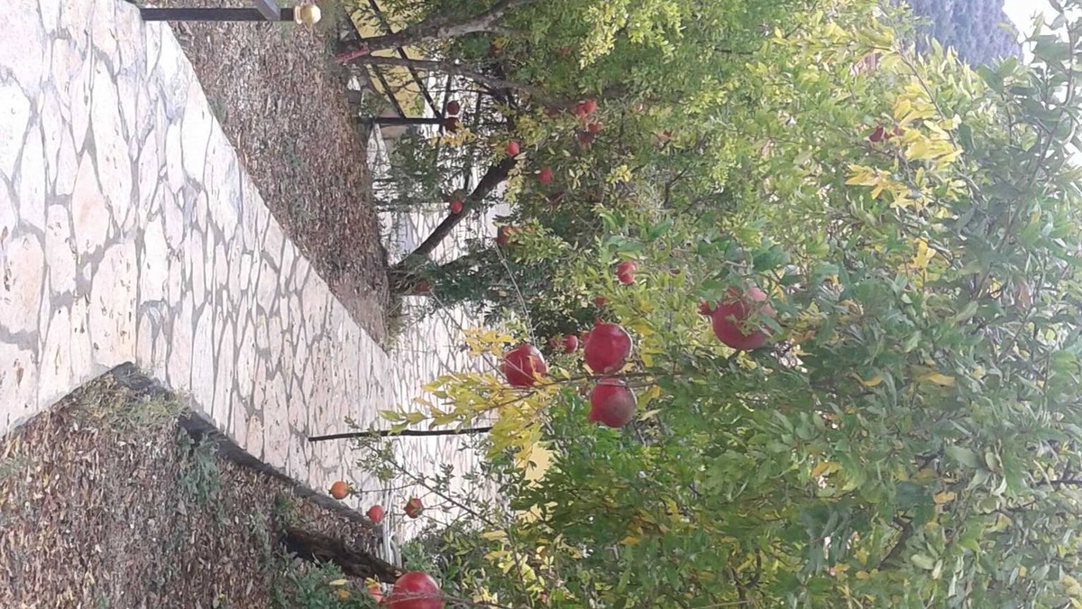 Kumluca Cabin | Apartment with 4 beds: small balcony and large veranda - holiday home Waldwilla-Waldapart